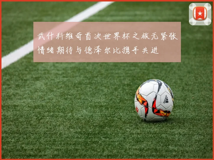 武什科维奇首次世界杯之旅无紧张情绪期待与德泽尔比携手共进