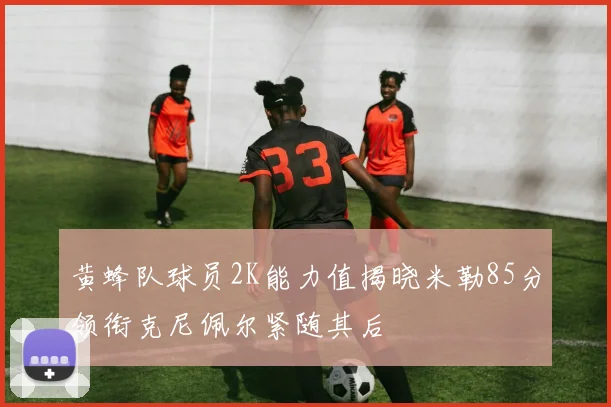 黄蜂队球员2K能力值揭晓米勒85分领衔克尼佩尔紧随其后