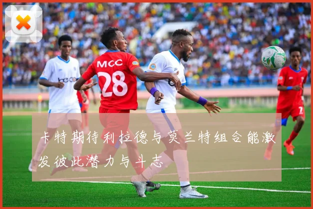 卡特期待利拉德与莫兰特组合能激发彼此潜力与斗志